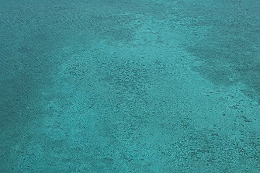 青绿色,水,俯视,伯利兹,加勒比海