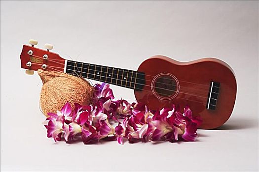 棚拍,夏威夷四弦琴,兰花,花环,椰子,白色背景