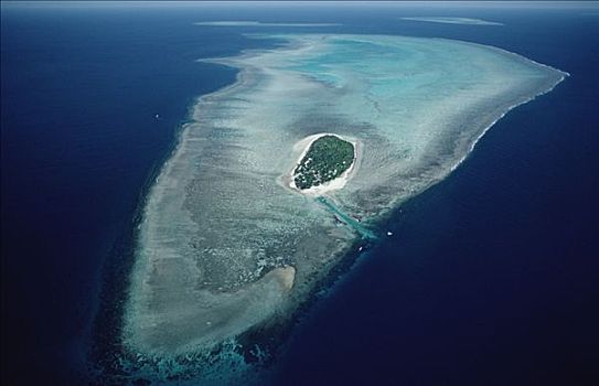 航拍,苍鹭岛,大堡礁,海洋公园,昆士兰,澳大利亚