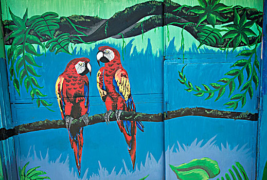 涂鸦,两个,深红色,金刚鹦鹉,圣荷塞,市区,省,哥斯达黎加,北美