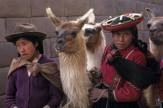 秘鲁,库斯科市,女人,美洲驼
