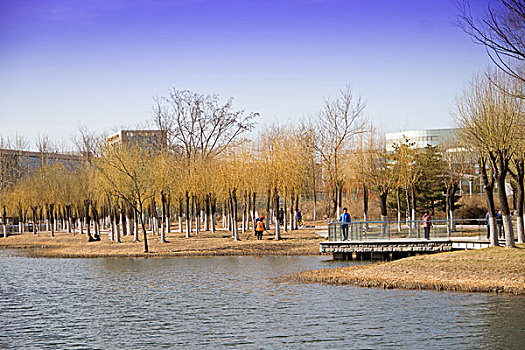 春天大自然蓝色天空,湖水高清风光摄影美景作品