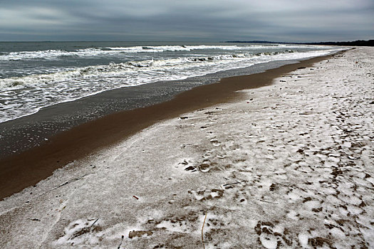 秦皇岛金海湾北戴河浅水湾辛丑牛年第一场春雪景色怡人