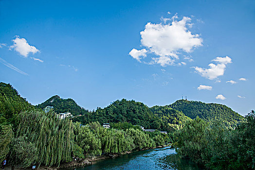 贵州省贵阳花溪河畔两岸垂柳