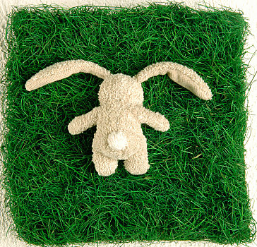 毛绒玩具,兔子,趴着,块,草