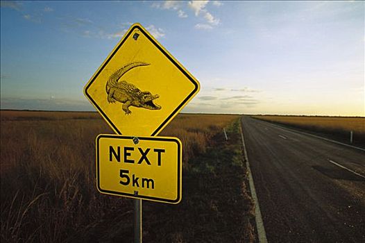咸水鳄,湾鳄,路标,警告,驾驶员,北领地州,澳大利亚