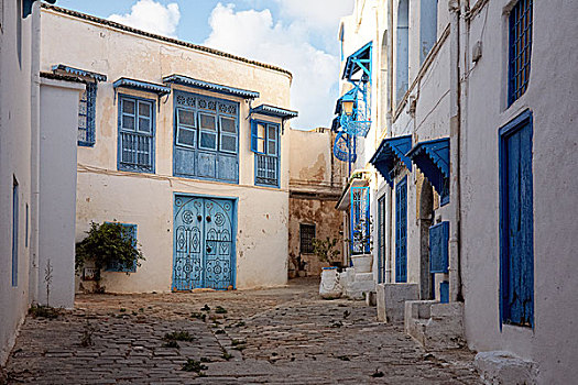 特色,建筑,白色,墙壁,蓝色,门,窗户,突尼斯
