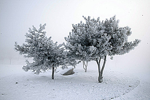 吉林雪景