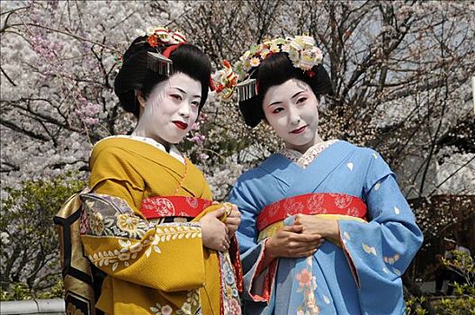 两个,鸾舞伎,受训人员,艺伎,正面,樱桃树,开花,京都,日本,亚洲