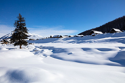 喀纳斯雪景,雪域风光