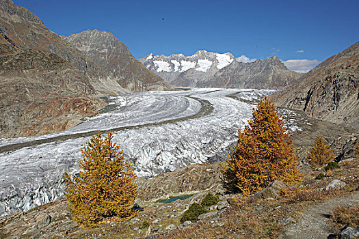 冰河,秋天,瓦莱,瑞士,欧洲