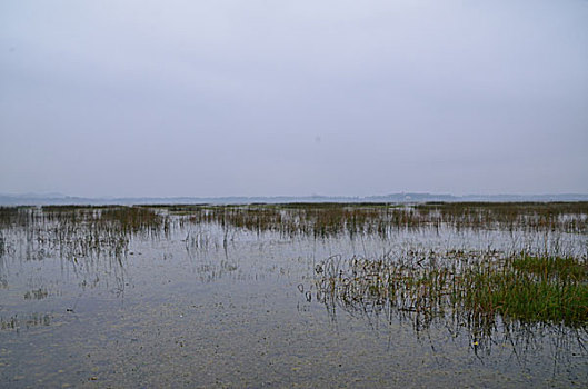 贵州草海风光,威宁,草海,木船,栖息地,海,淡水湖,渔船,湖水,湖泊,湿地,湿地高原,秋色,船只,草,贵州风光,风光,高原湖泊,黑颈鹤,国家一级保护鸟类,鸟类,海鸟,花海