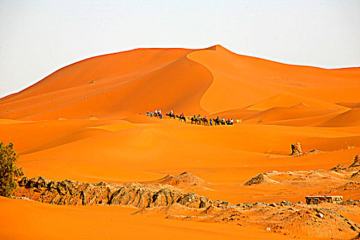 非洲,北非,摩洛哥,塔菲拉勒特,区域,梅如卡,却比沙丘