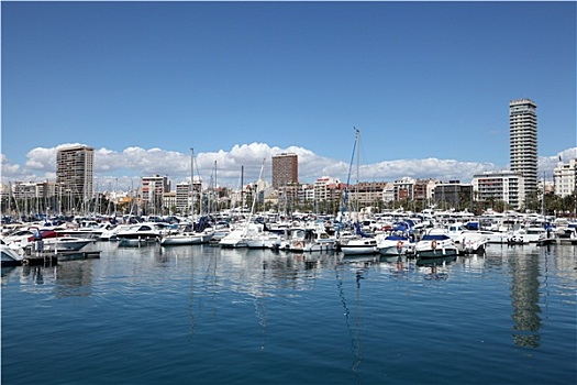 游艇,船,码头,阿利坎特,西班牙