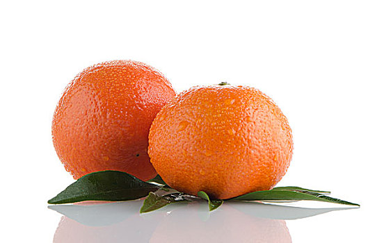 新鲜,橙色,柑桔