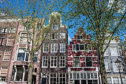 历史,运河,房子,老城,阿姆斯特丹,北荷兰,荷兰
