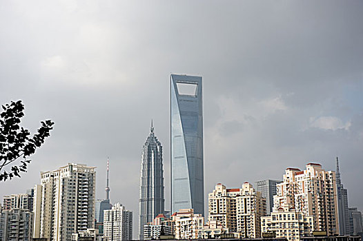 上海,十一月,金茂大厦,文字,金融中心,上面,高,中国