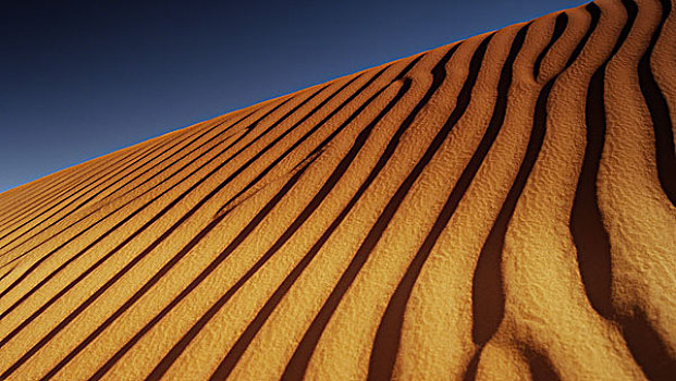 仰视,波纹,沙漠,沙丘,蓝天