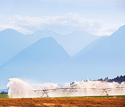 灌溉,不列颠哥伦比亚省,加拿大