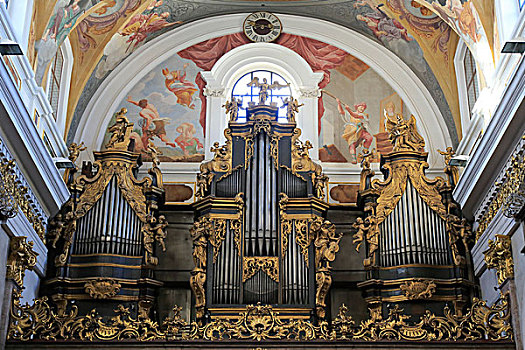 大教堂,器官,卢布尔雅那,斯洛文尼亚,欧洲