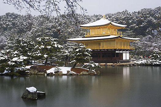 日本,京都,金阁寺,庙宇,金亭,世界遗产,雪