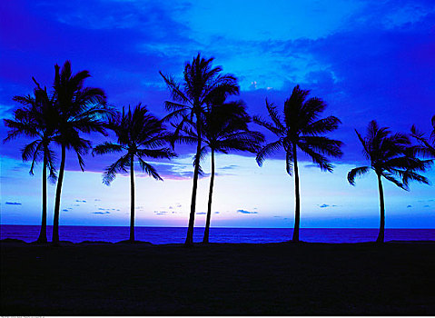 黄昏,瓦胡岛,夏威夷,美国