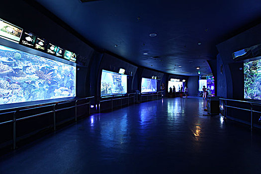 北京海洋馆水族箱