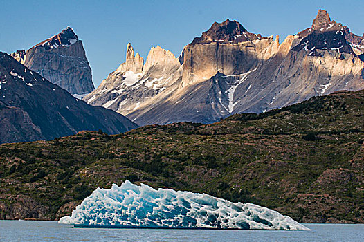 冰山,灰色,托雷德裴恩国家公园,巴塔哥尼亚,智利,南美