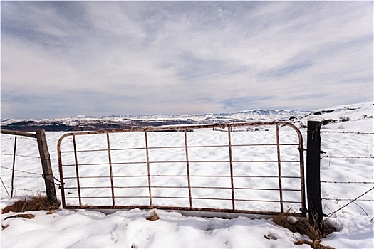 大门,栅栏,山,雪