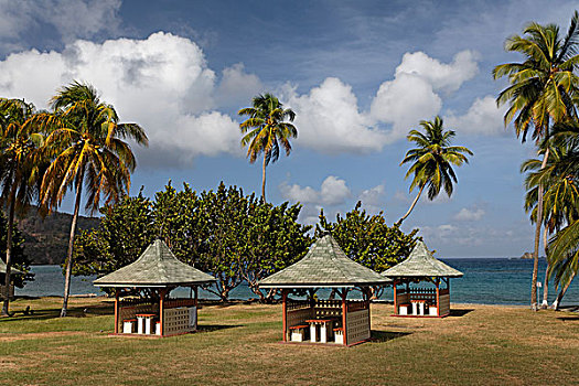 烧烤,小屋,海滩,椰树,多巴哥岛,特立尼达和多巴哥,北美