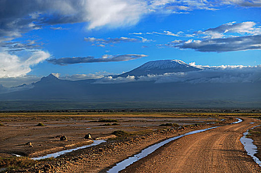 浩大,风景,道路,乞力马扎罗山,早晨,亮光,后面,安伯塞利国家公园,肯尼亚,非洲