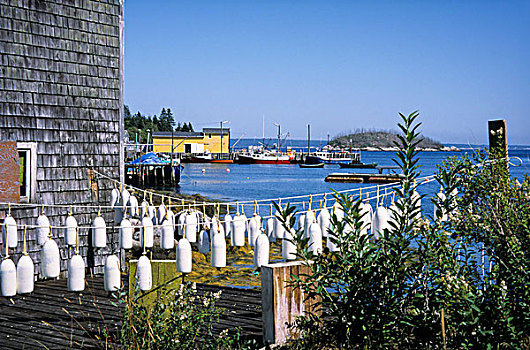 加拿大,新斯科舍省,捕虾器,漂浮,悬挂,户外,鱼,棚屋,靠近,湾