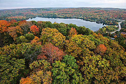 风景,彩色,秋日树林,湖,多西特,暸望,塔,安大略省,加拿大