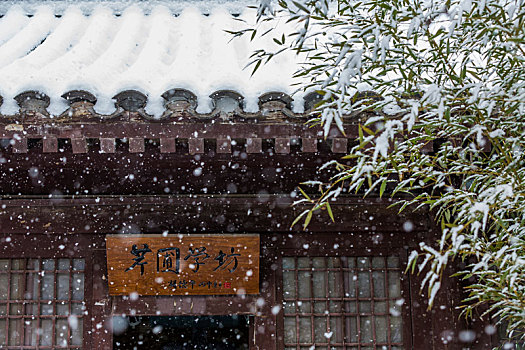 北京植物园下雪