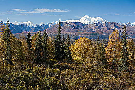 景色,山,麦金利山,阿拉斯加山脉,山脊,小路,德纳里峰,州立公园,阿拉斯加,秋天