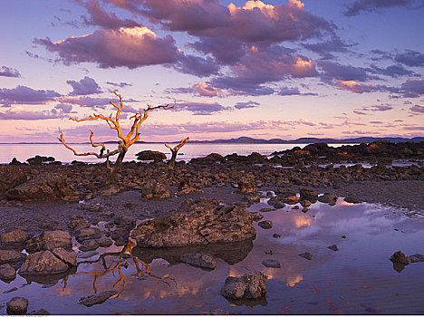 日落,岬角,国家公园,昆士兰,澳大利亚