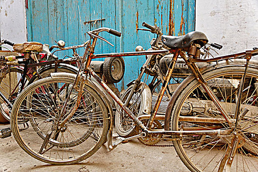 自行车,小路,德里,印度