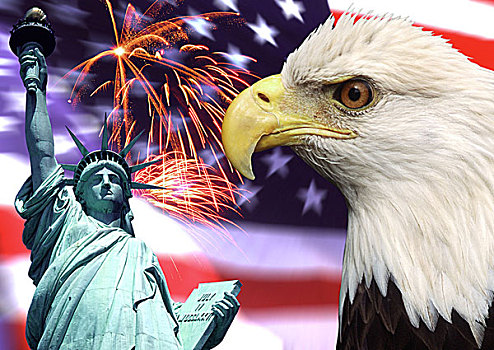 爱国,美国,鹰,烟花,自由女神像