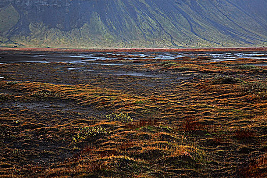 风景,南方,区域,冰岛,欧洲