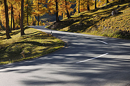 道路,瑞士