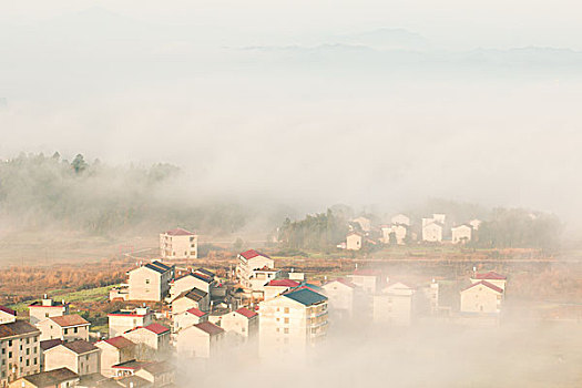 雾海,风景如画