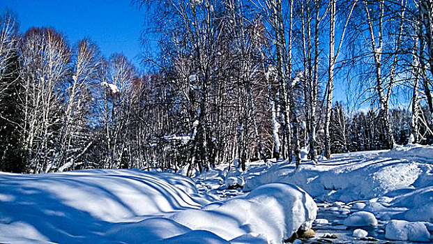 新疆喀纳斯禾木美丽峰雪景