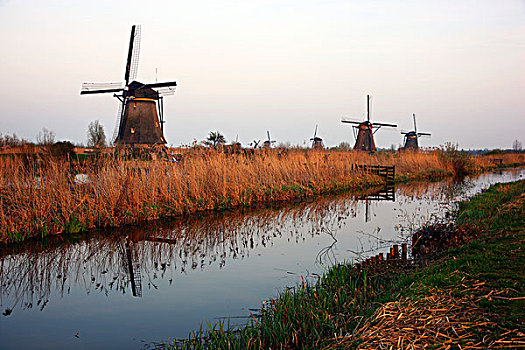 历史,风车,世界遗产,金德代克,荷兰南部,荷兰,欧洲