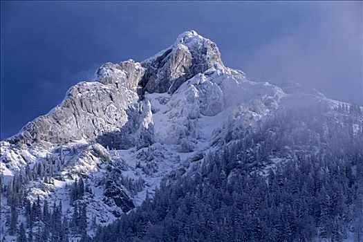 顶峰,冬天,勃兰登堡,阿尔卑斯山,北方,提洛尔,奥地利,欧洲