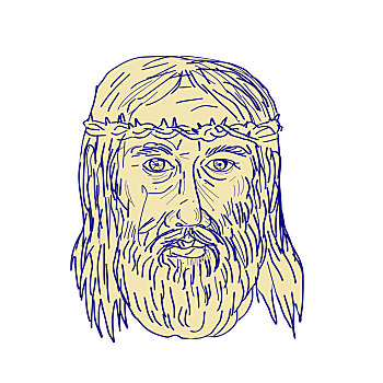 耶稣,脸,皇冠,刺,绘画