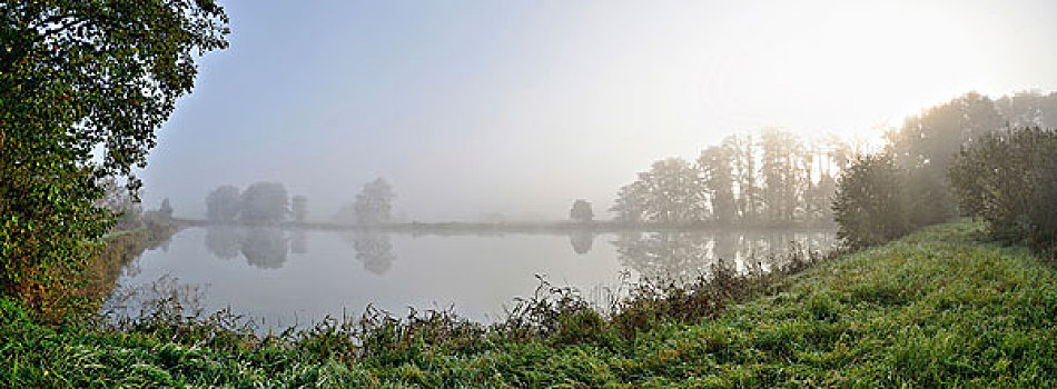 风景,雾状,湖,早晨,秋天,巴伐利亚,德国