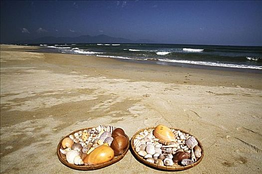海螺壳,中国,海滩,岘港,越南