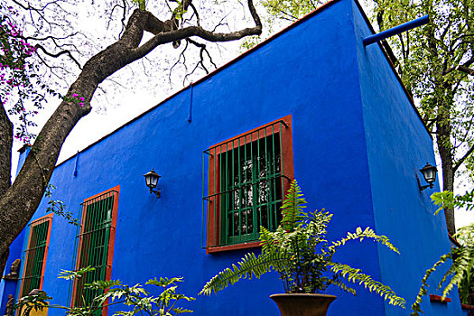 蓝房子,弗里达·卡洛博物馆