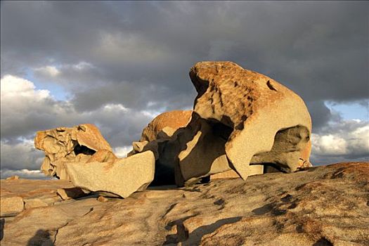 石头,袋鼠,岛屿,澳大利亚