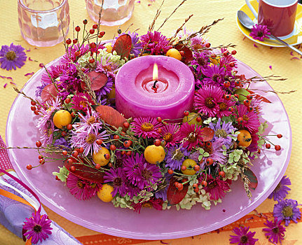 秋天,花环,紫苑属,浆果,水果